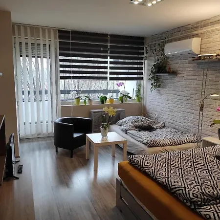 Apartament Baross *