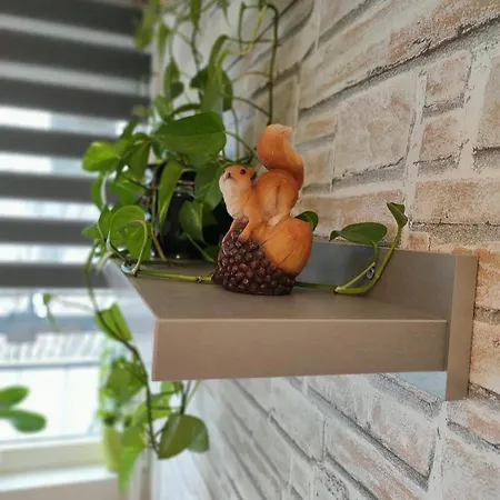 Apartament Baross *